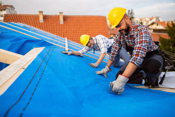 Best Chimney Flashing Repair  in Chenango Bridge, NY